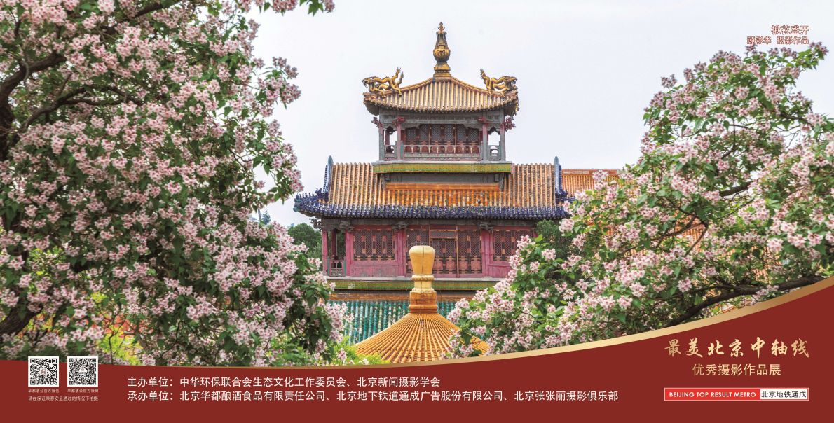 楸