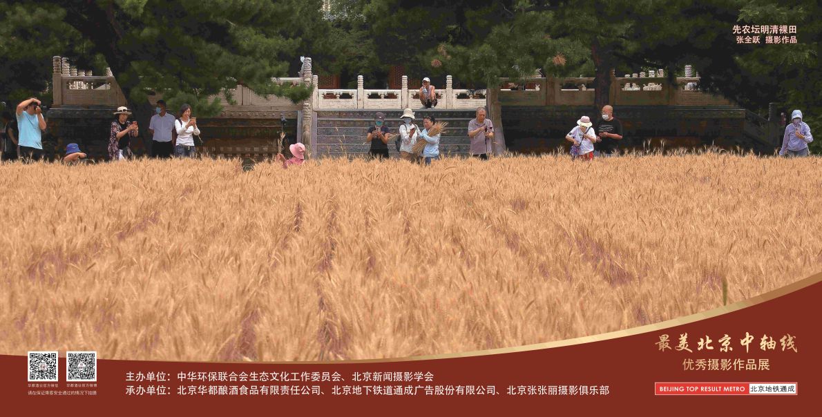 12封灯箱-北京最美中轴线优秀摄影作品展示活动-2024.8.22第一版（田).jpg