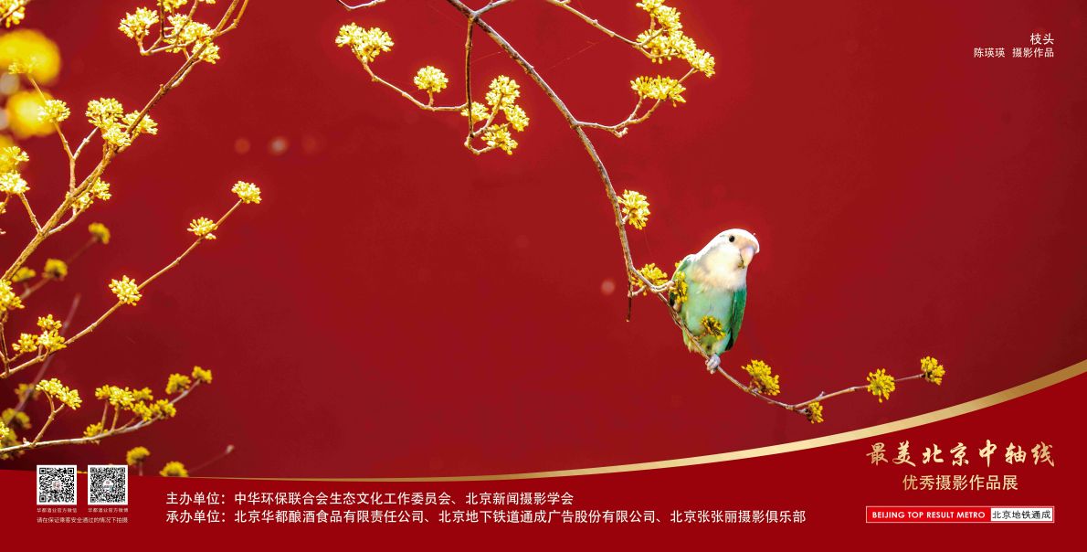 12封灯箱-北京最美中轴线优秀摄影作品展示活动-2024.8.22第一版（枝).jpg